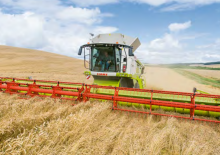 Mähdrescher-Schneidwerk Claas Vario 620
