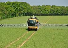 Selbstfahrende Feldspritzen Challenger RoGator 655