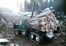 Tragschlepper Timberjack 1710