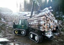 Tragschlepper Timberjack 1710