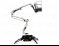 Octopus 14 